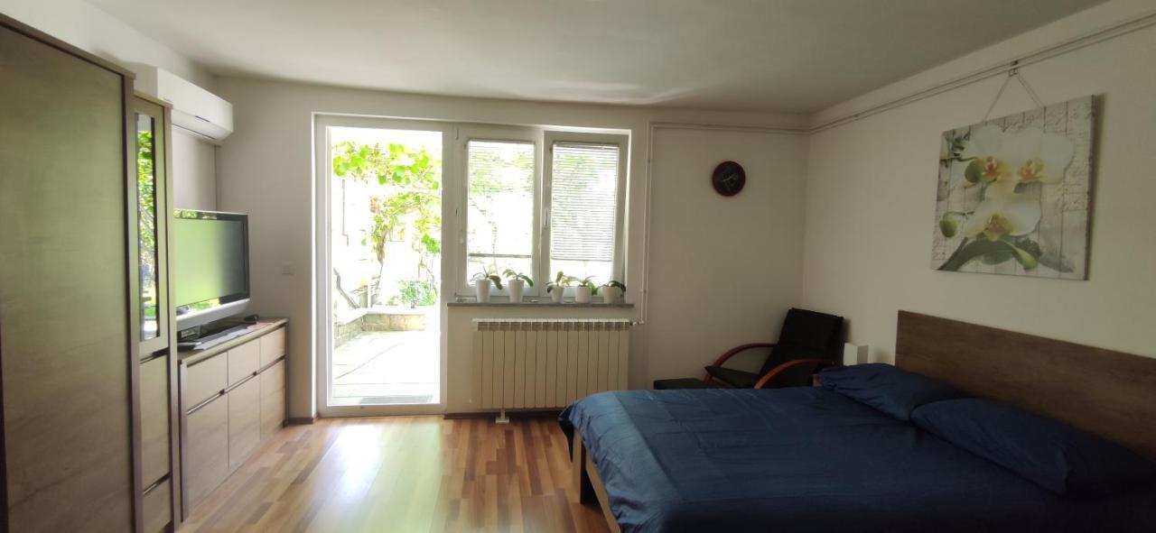 Apartment Apartma Dessa